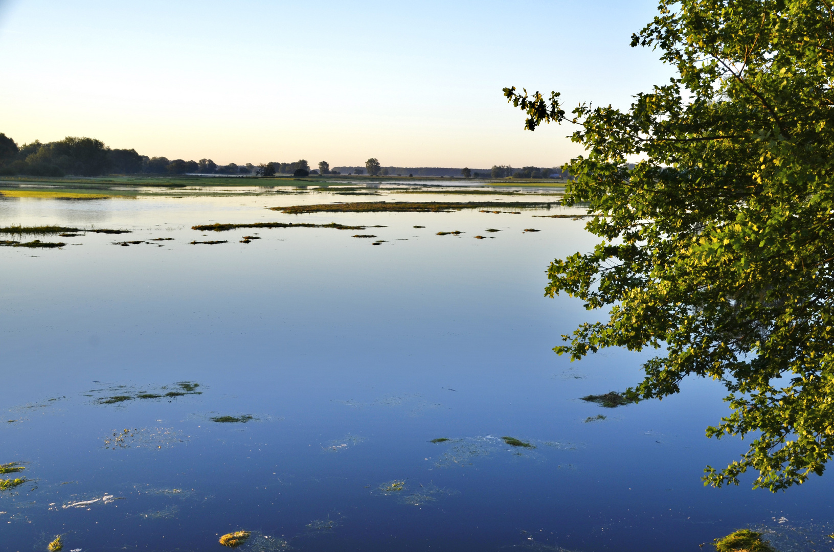 Das Wasser der Elbe hat gesiegt