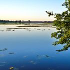 Das Wasser der Elbe hat gesiegt