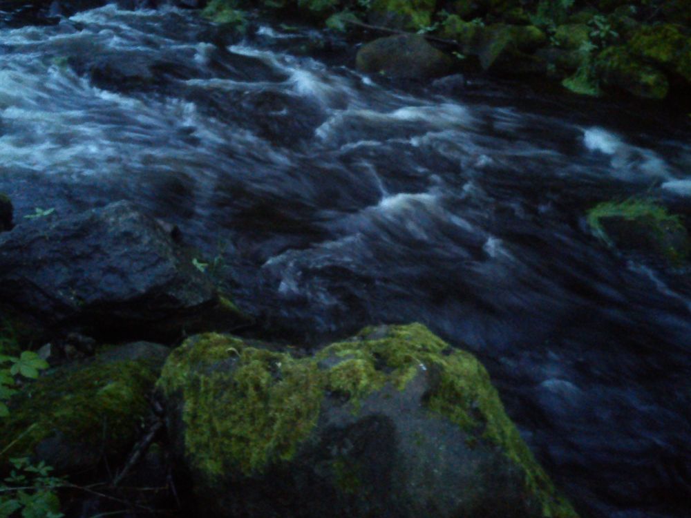 Das Wasser, der Stein und das Moos