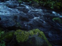 Das Wasser, der Stein und das Moos