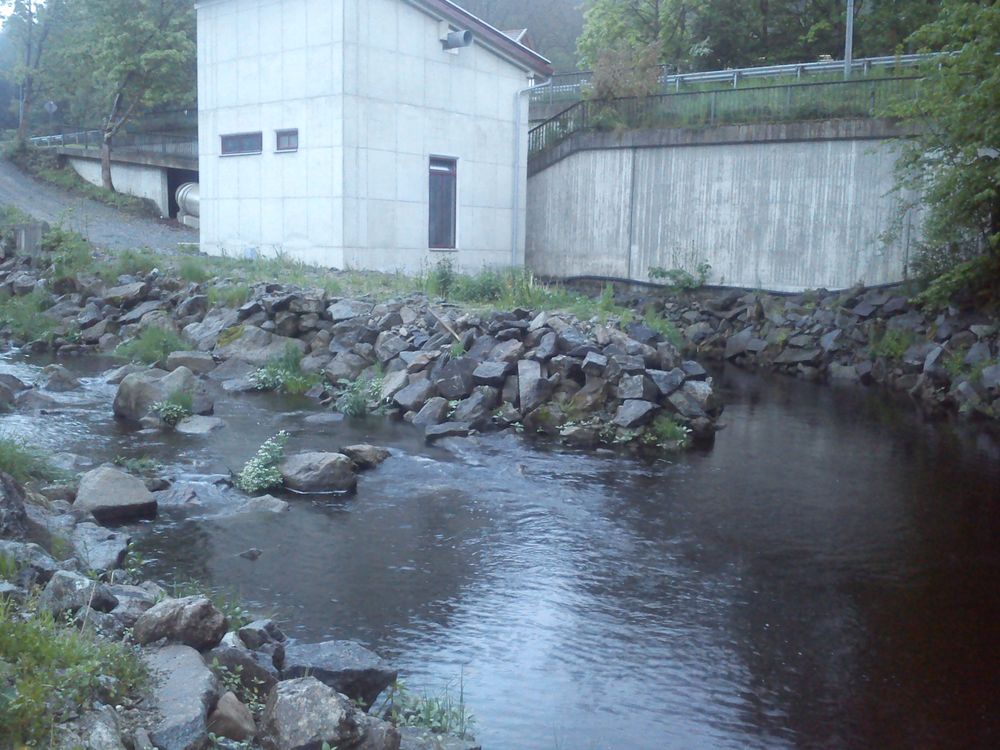 Das Wasser, der Weg und die Steine