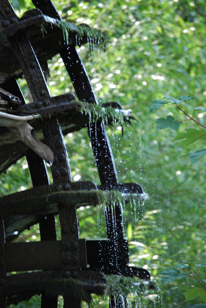 Das Wasser des Lebens oder das Rad der Zeit?????