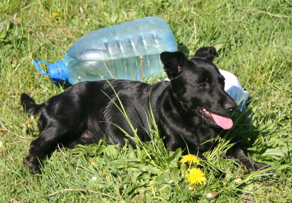 Das Wasser gehört mir!!!