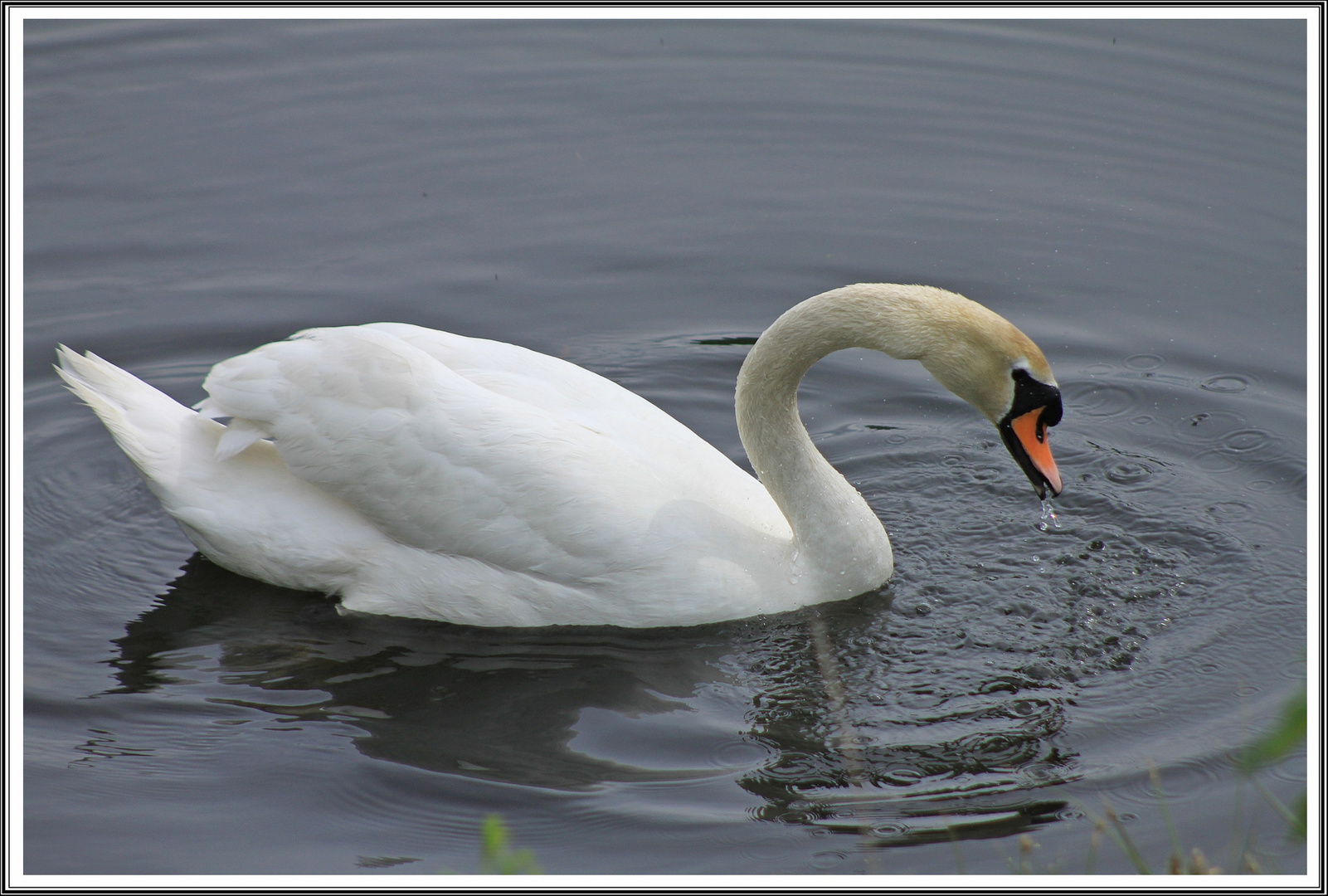 Das Wasser hat auch schon mal besser geschmeckt 