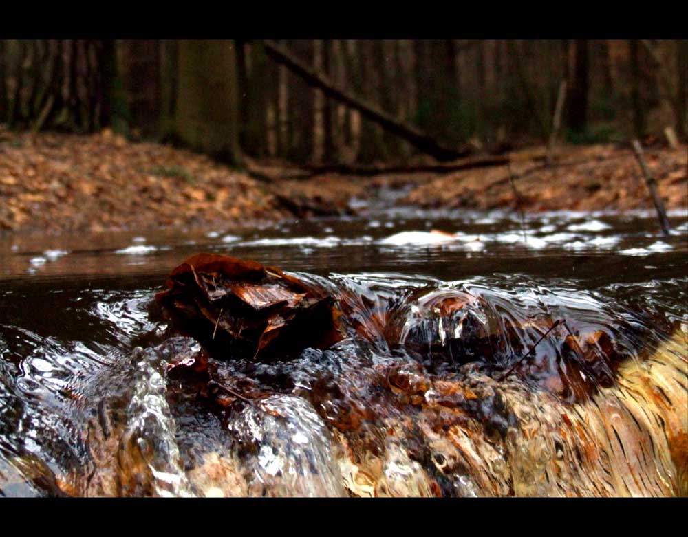 Das Wasser in seinem Lauf, ...