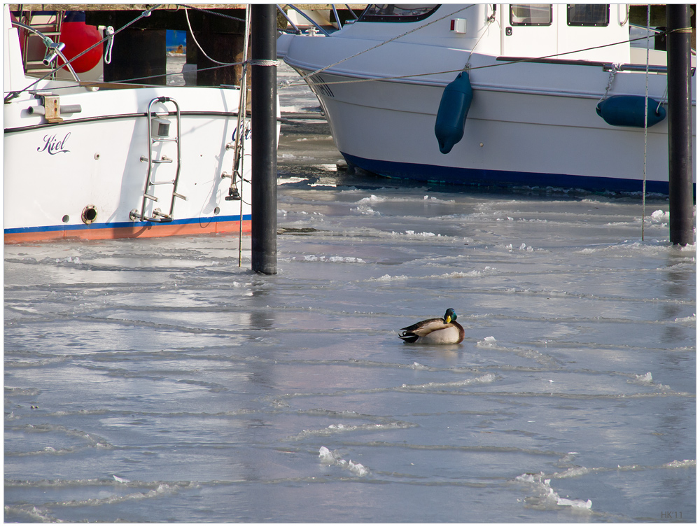 Das Wasser ist heute...