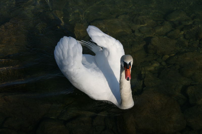 das Wasser ist schon warm