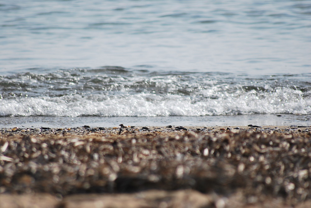 Das Wasser kommt an den Strand