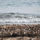 Das Wasser kommt an den Strand