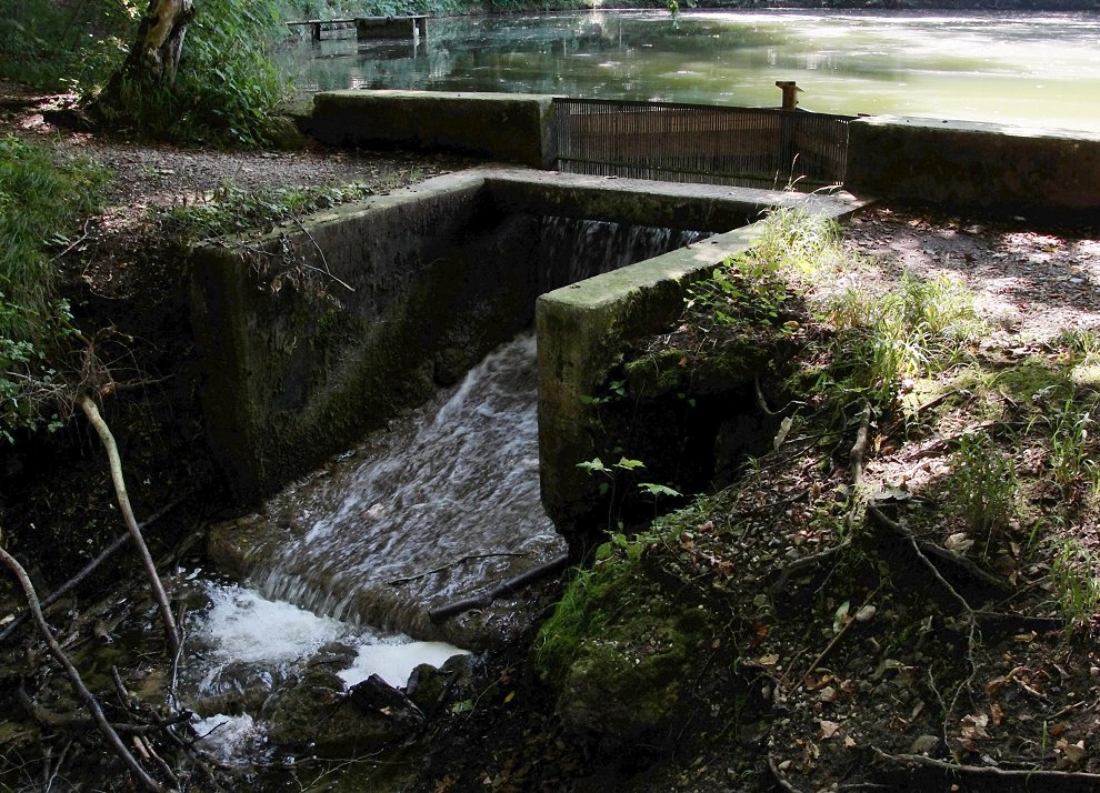 Das Wasser muss aus Mittelerde raus