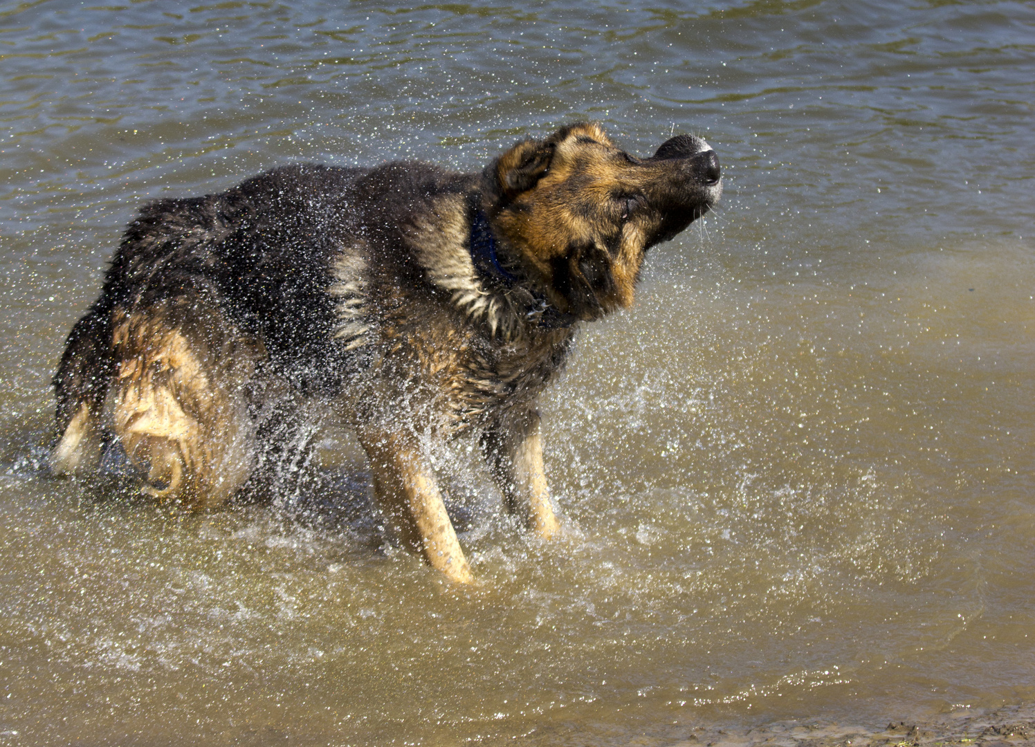 Das Wasser muss raus