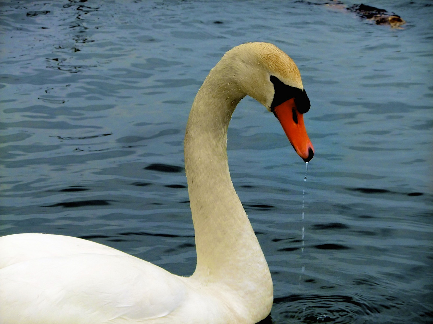 Das Wasser nimmt dich mit.Lass dich leiten,die Strömung entlang...