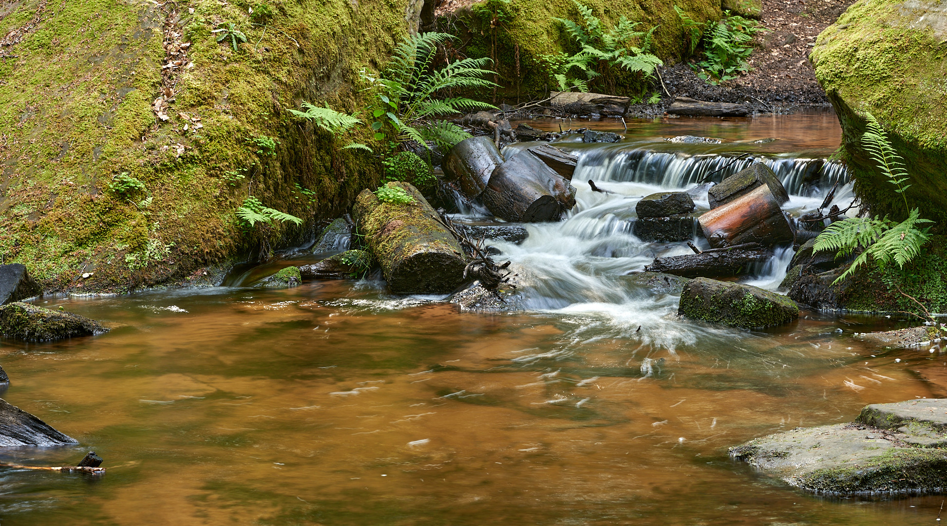 Das Wasser plätschert über Stock und Stein, gurgelt um kleine Felsbrocken herum, fließt in einem...