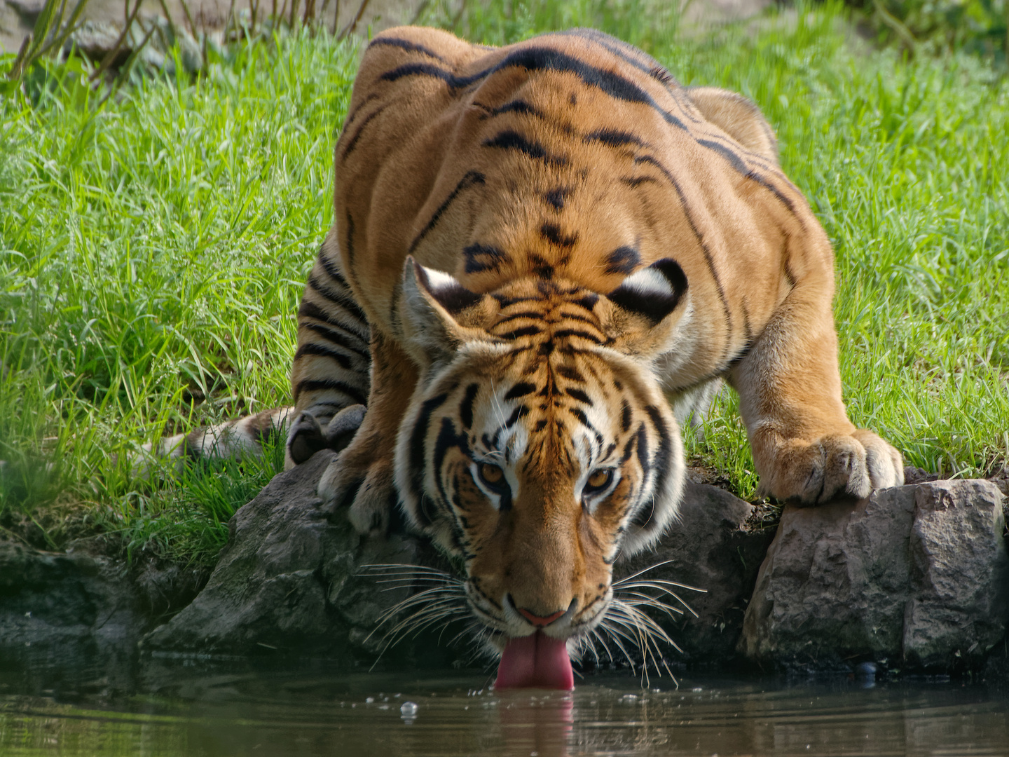 Das Wasser reichen ...