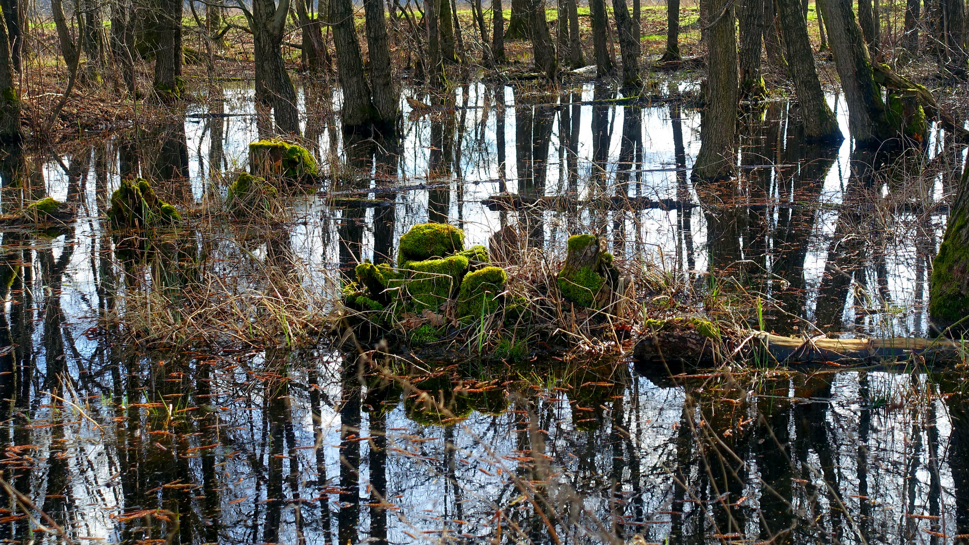 Das Wasser steht noch