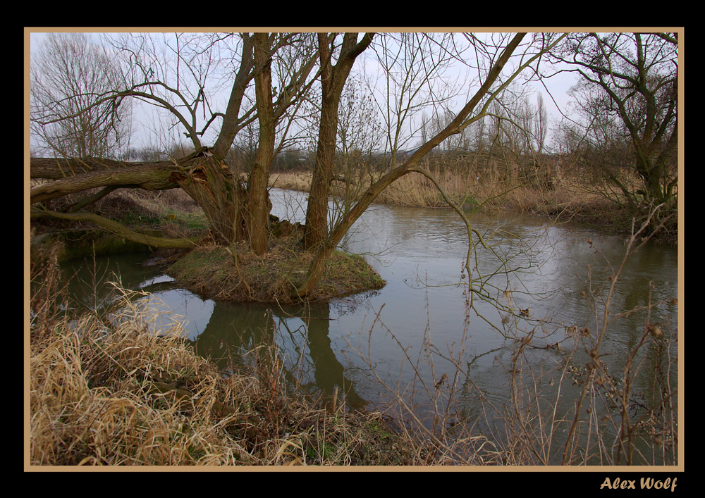 Das Wasser steigt