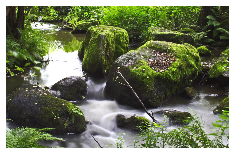 Das Wasser sucht sich den Weg