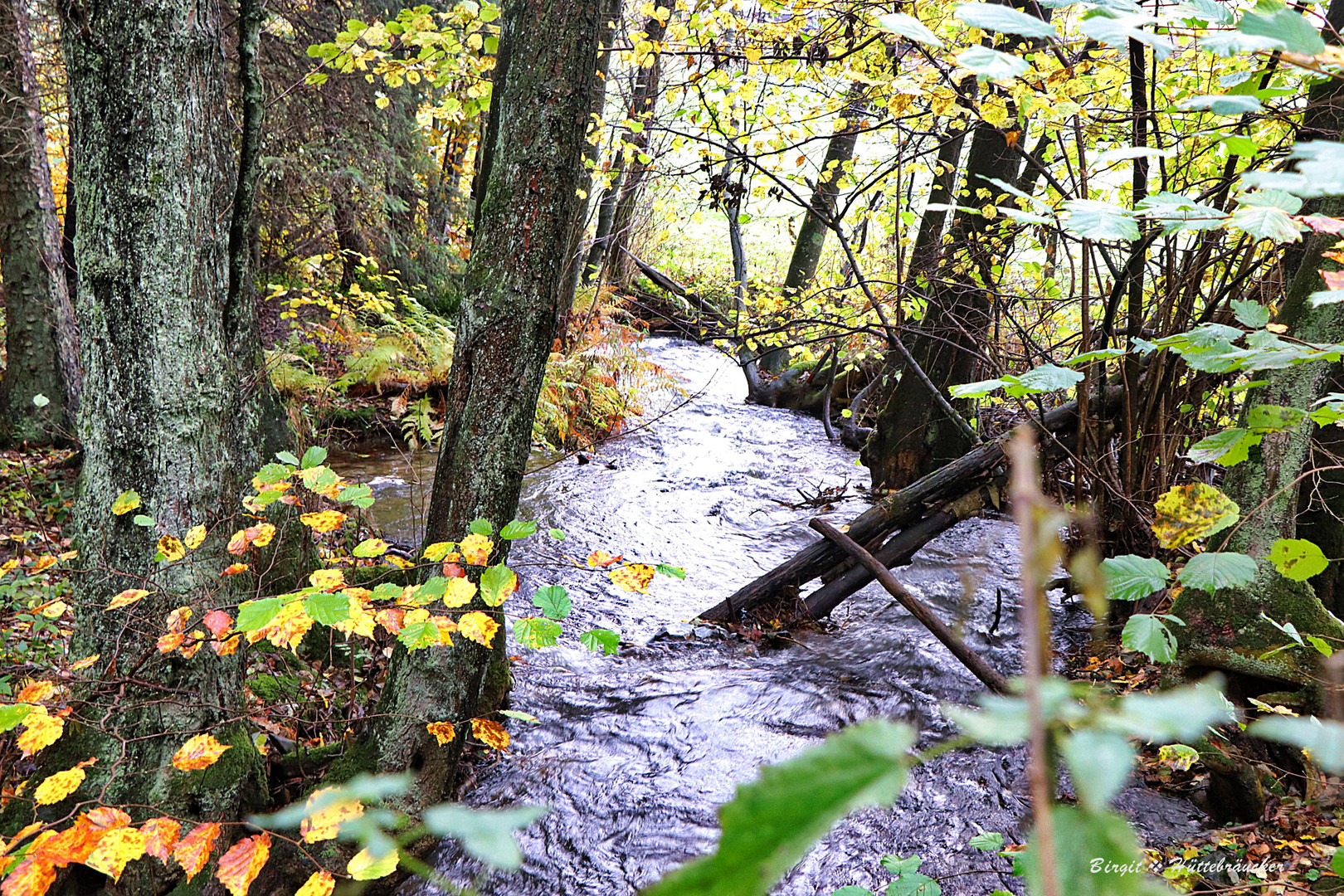 Das Wasser sucht sich den Weg