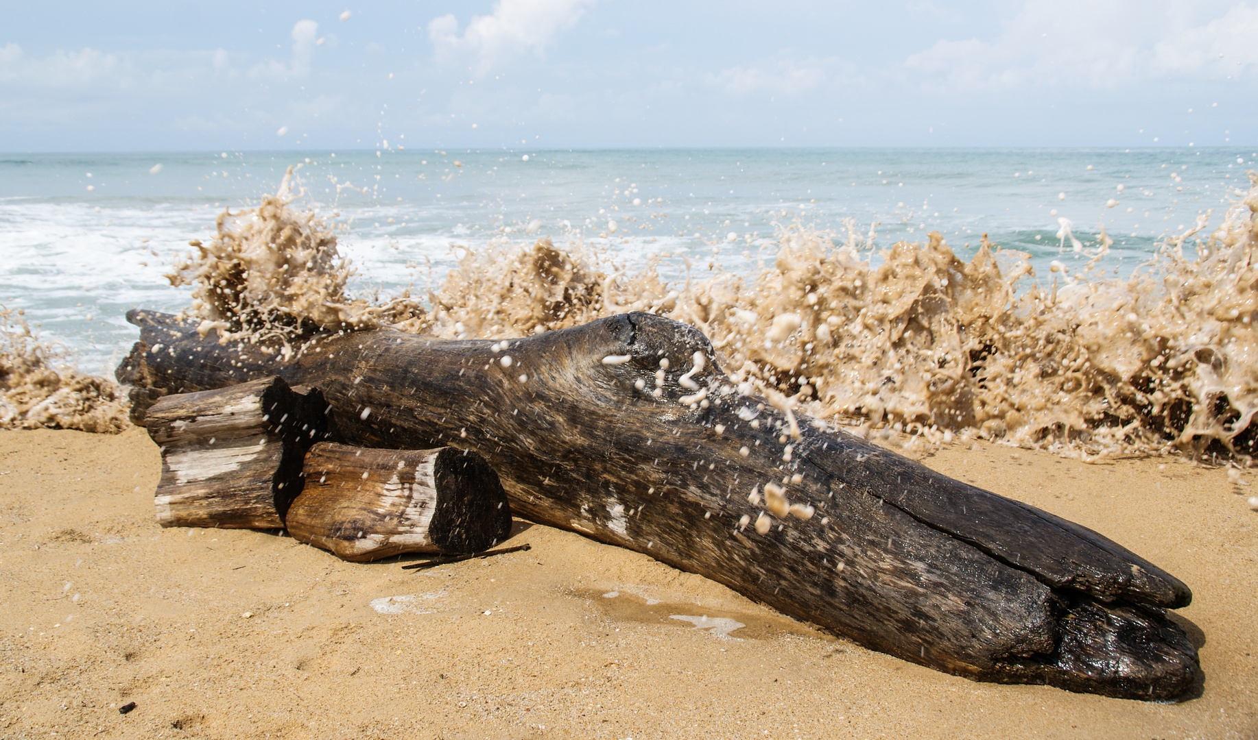 Das Wasser und das Holz