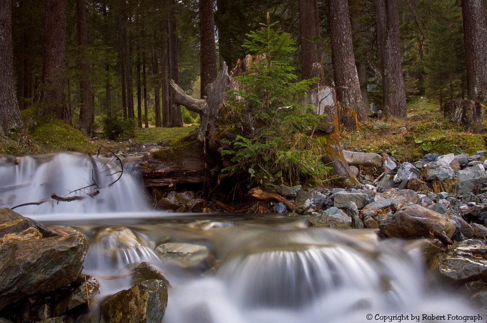 Das Wasser und seine kleinen Hürden