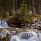 Das Wasser und seine kleinen Hürden