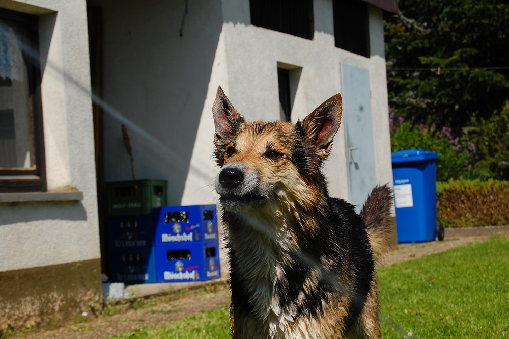 Das Wasserspiel