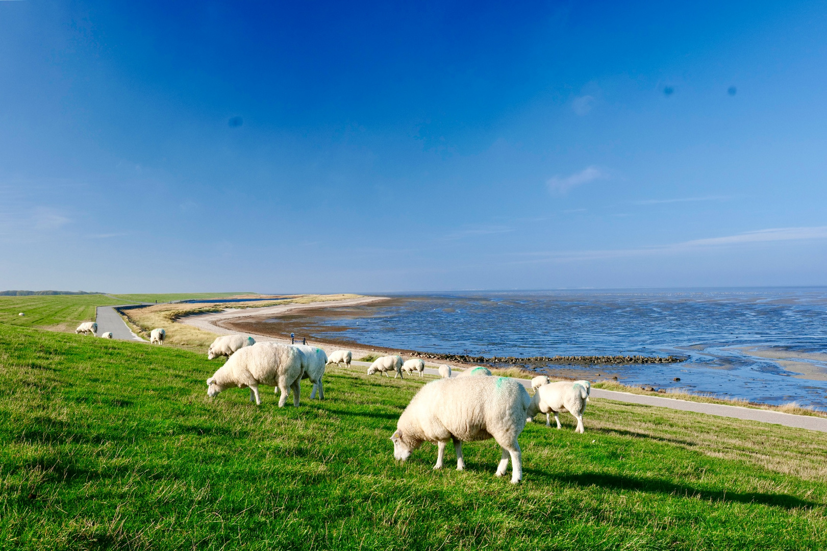 Das Watt auf Föhr