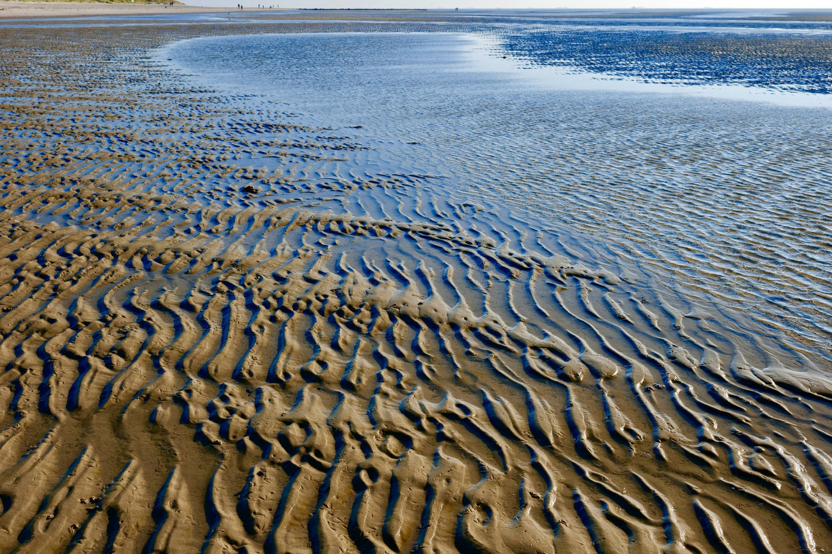 Das Watt auf Föhr