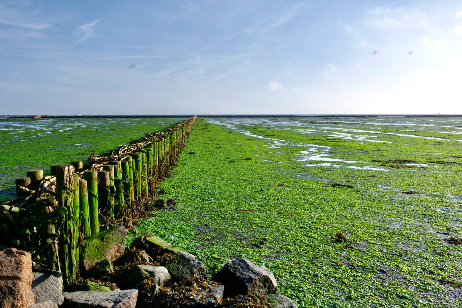 Das Watt auf Föhr