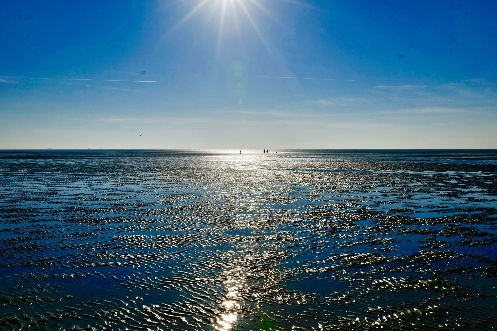 Das Watt auf Föhr