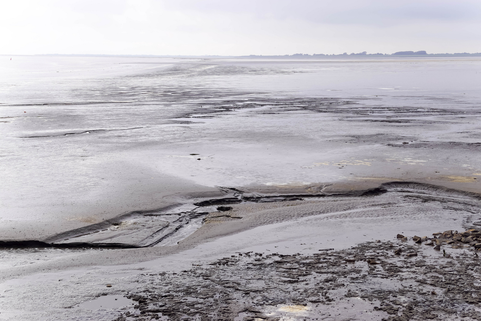 Das Wattenmeer