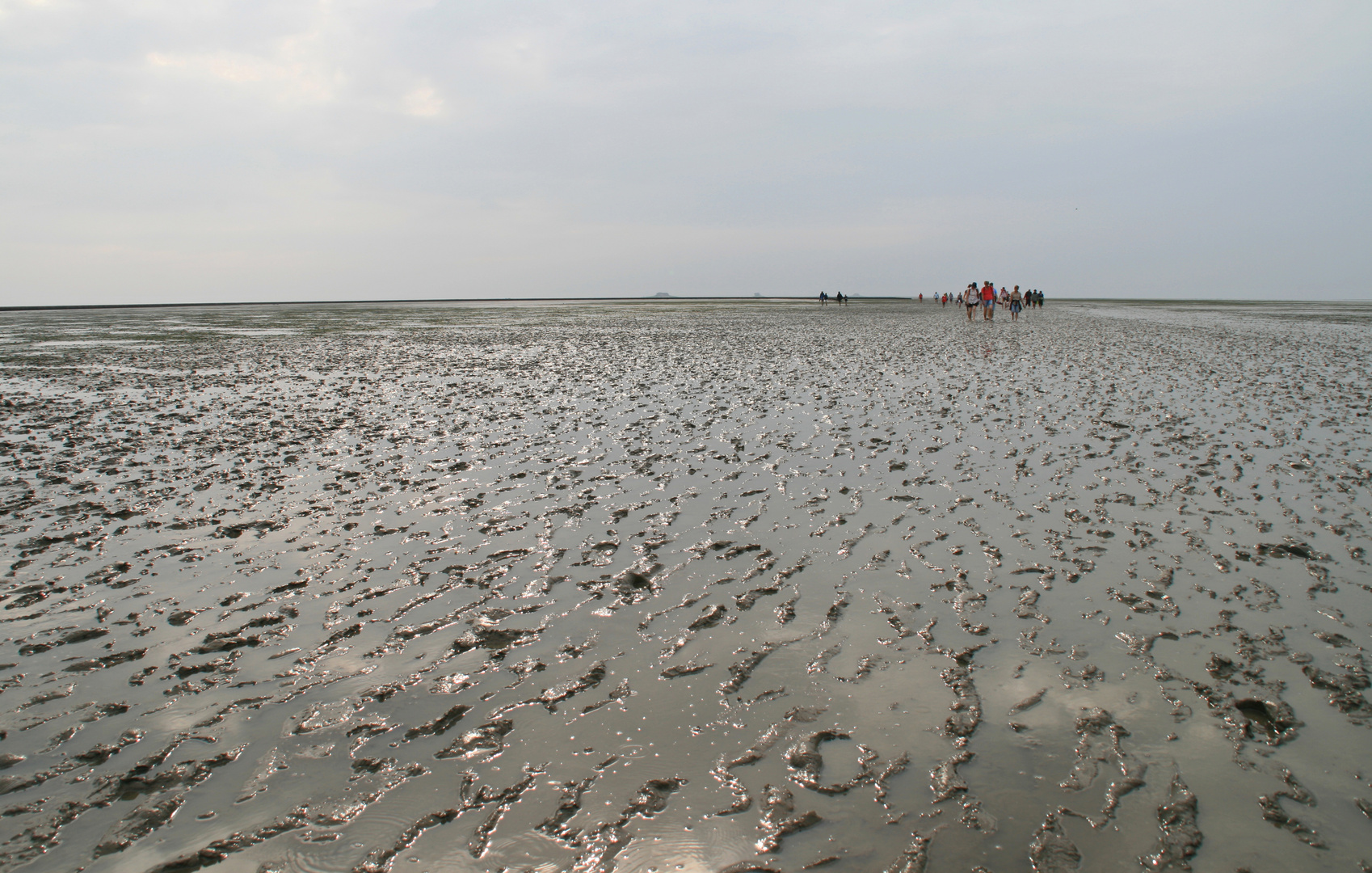 Das Wattenmeer