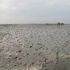 Das Wattenmeer