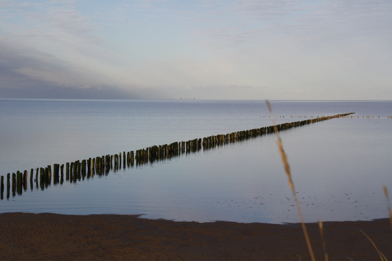 Das Wattenmeer 2