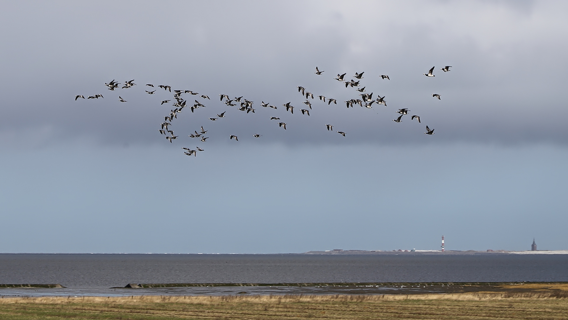 Das Wattenmeer (2019_03_19_EOS 6D Mark II_0675_ji)