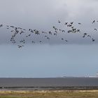 Das Wattenmeer (2019_03_19_EOS 6D Mark II_0675_ji)