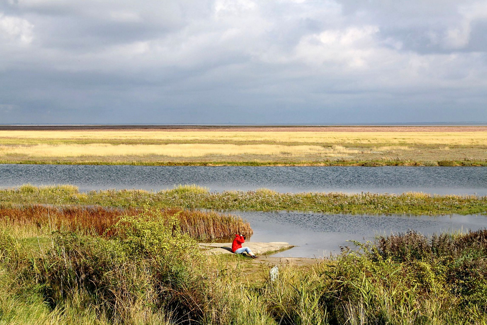 Das Wattenmeer