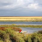 Das Wattenmeer