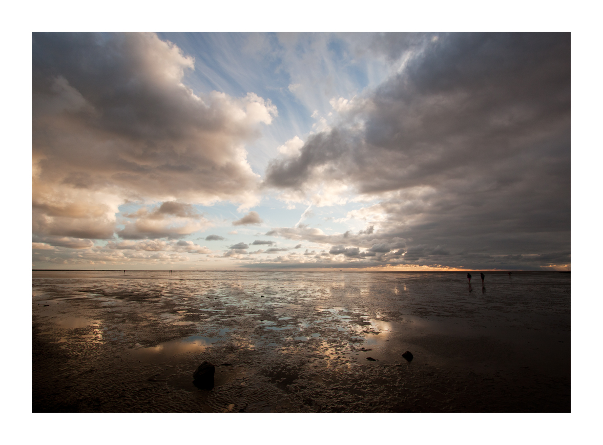 das Wattenmeer