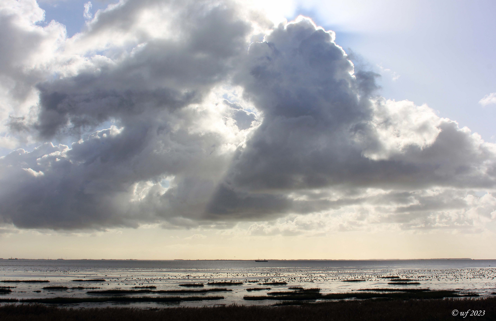 Das Wattenmeer