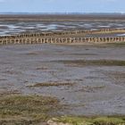 Das Wattenmeer an der Nordsee 