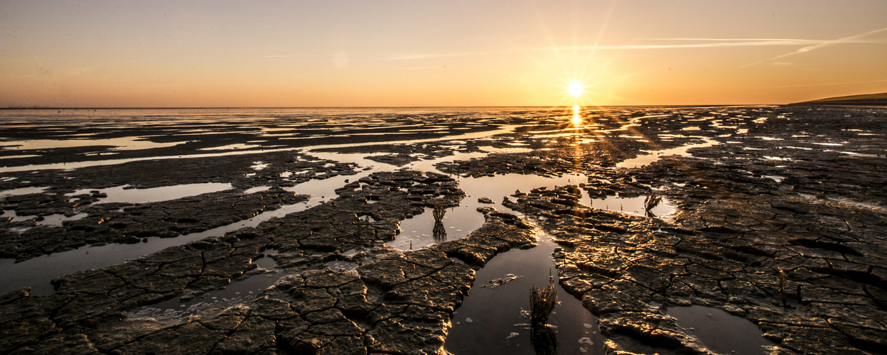 Das Wattenmeer