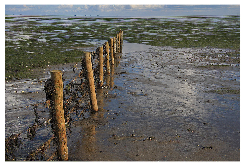 Das Wattenmeer II....