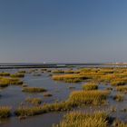 Das Wattenmeer im Abendlicht