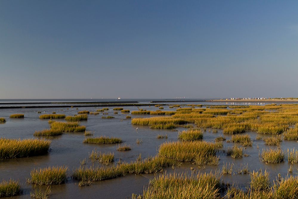 Das Wattenmeer im Abendlicht