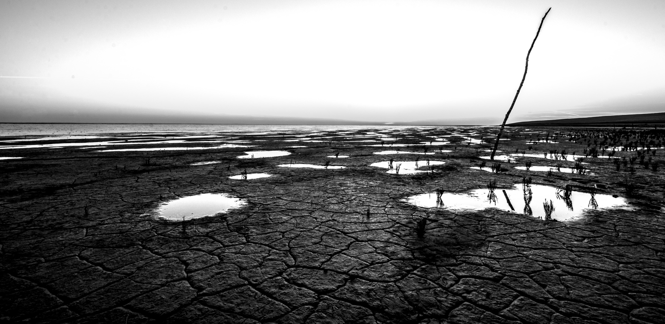 Das Wattenmeer in s/w