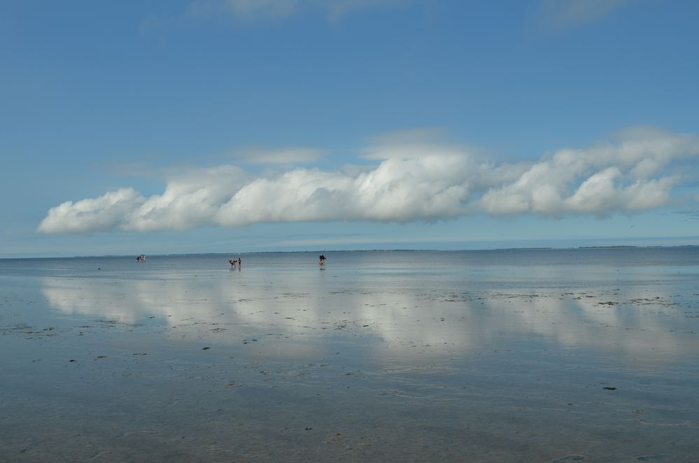 Das Wattenmeer vor Carolinensiel