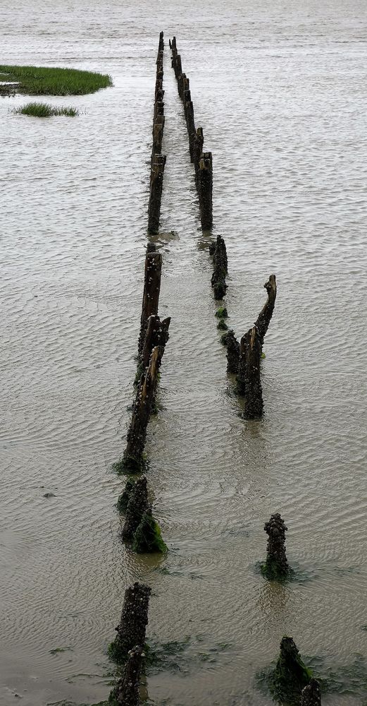 Das Wattenmeer vor Carolinensiel-Harlesiel