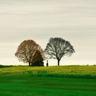 das Wegkreuz