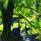 Das Wegkreuz am Saußbach